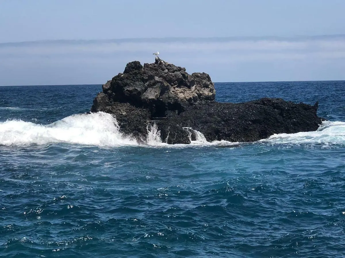 Vivienda Vacacional Balcón sobre el Mar Playa Cancajos.- BreNa Baja  Apartamento Playa Cancajos.- BreNa Baja (la Palma)